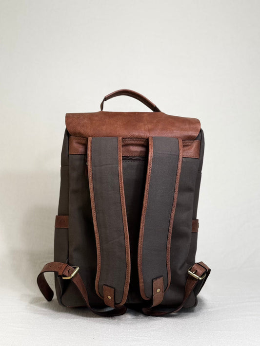 Oliva Modena Carrier