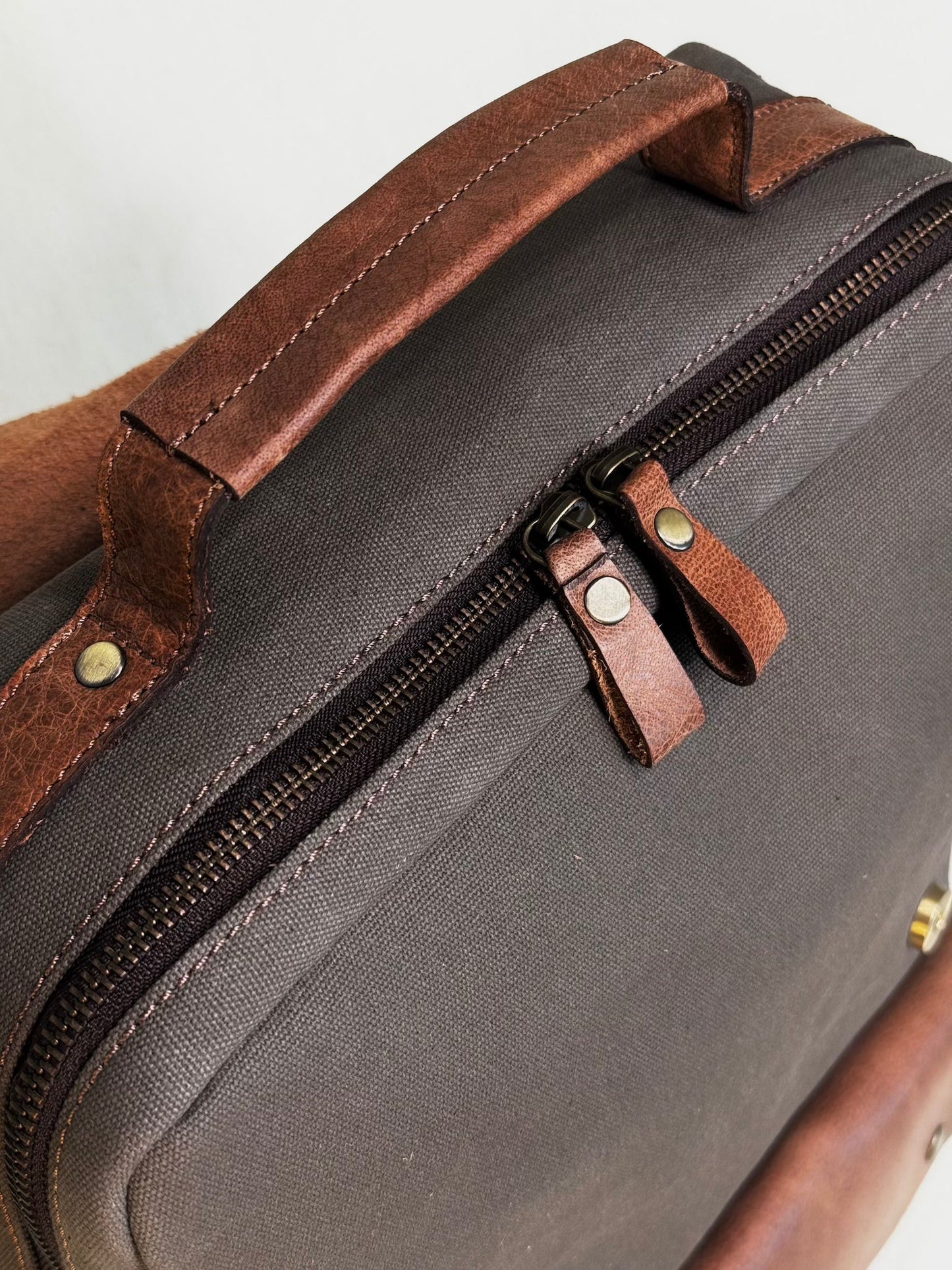 Oliva Modena Carrier